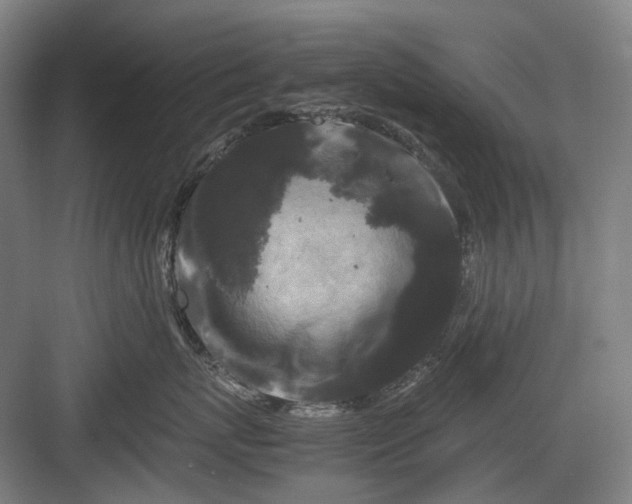 X0000082940767200702152214