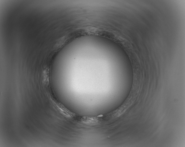 X0000082940768200702152214