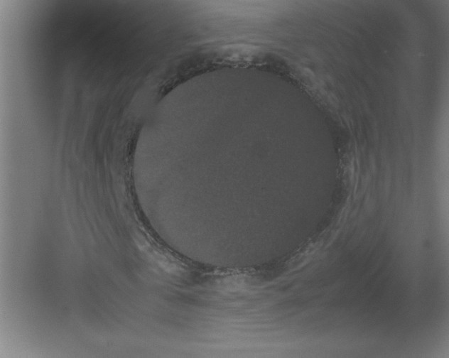 X0000082940769200702152213