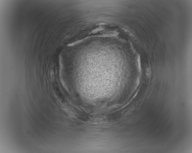 X0000082940771200702152213