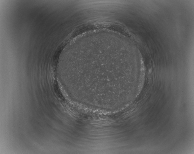 X0000082940772200702152213