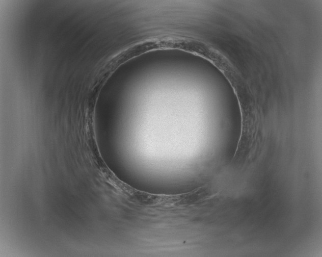 X0000082940773200702152213