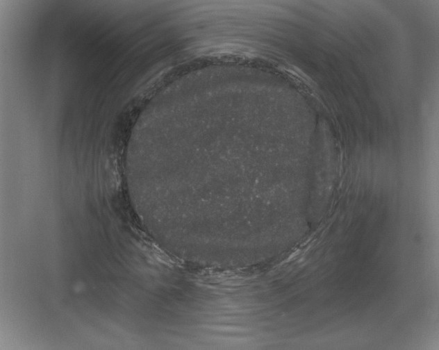 X0000082940774200702152213