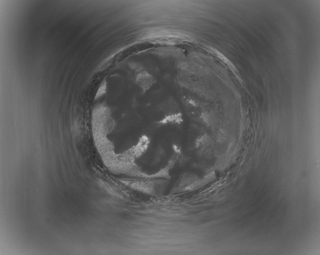 X0000082940775200702152213