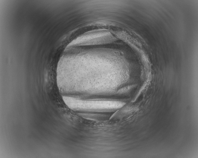 X0000082940776200702152213