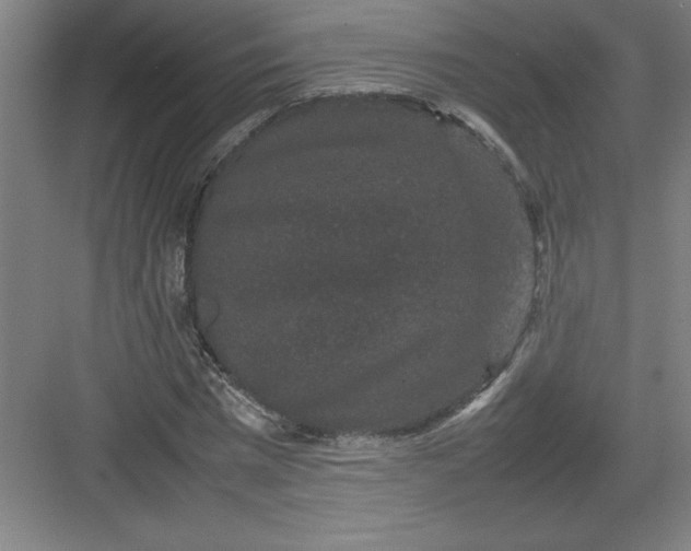 X0000082940777200702152213