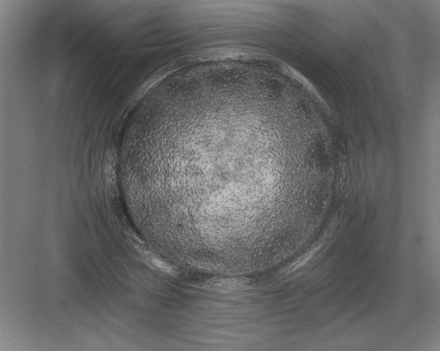 X0000082940778200702152213