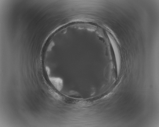 X0000082940779200702152213