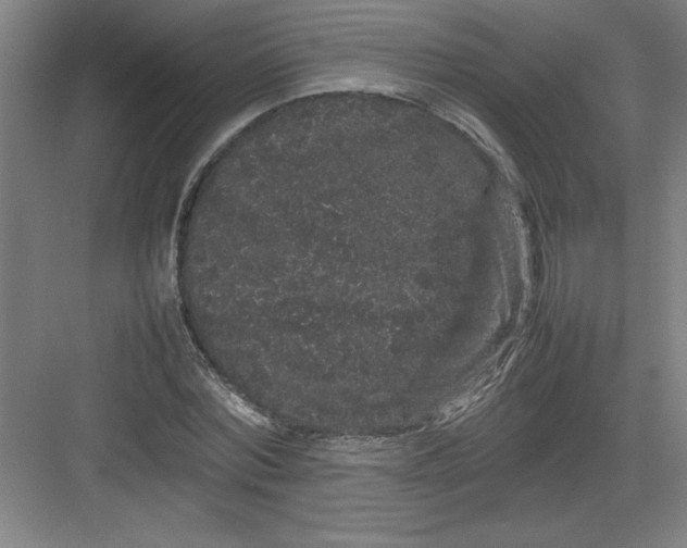 X0000082940780200702152213