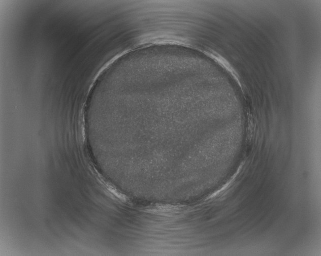 X0000082940782200702152213