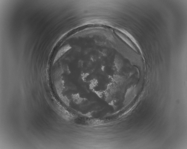 X0000082940783200702152213