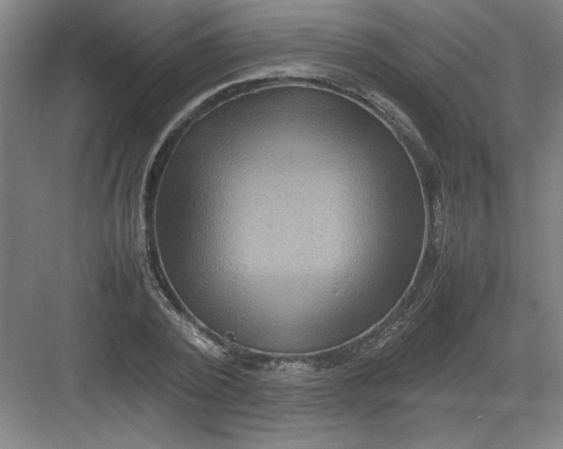 X0000082940784200702152213