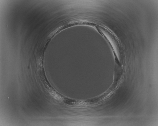 X0000082940785200702152213