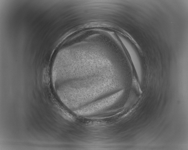 X0000082940786200702152213