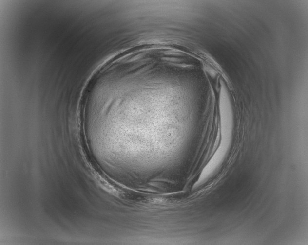 X0000082940787200702152213