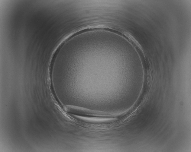 X0000082940789200702152213