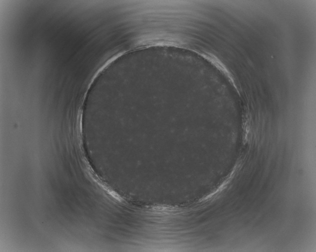 X0000082940790200702152213