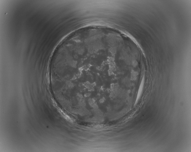 X0000082940791200702152213