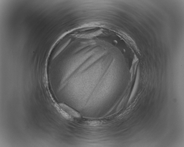 X0000082940792200702152213