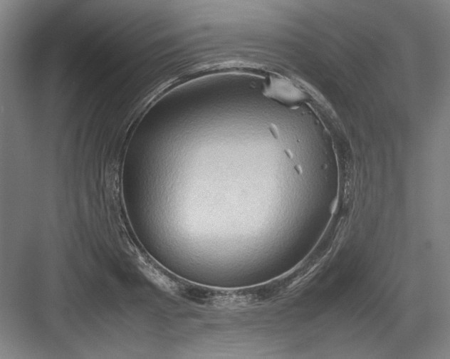 X0000082940793200702152213