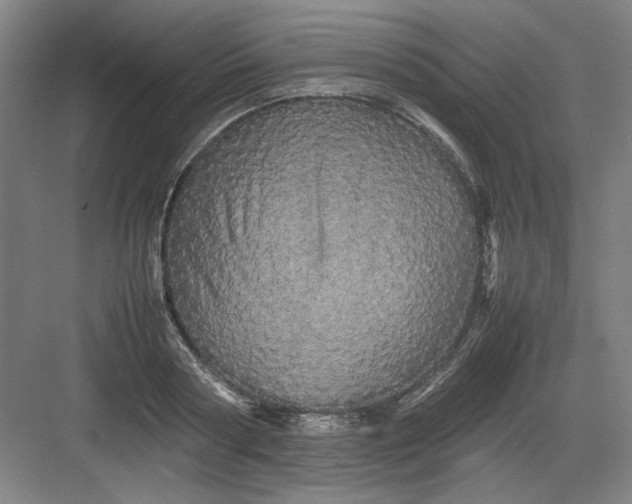 X0000082940794200702152213