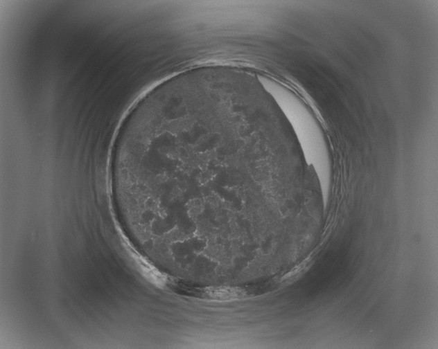 X0000082940795200702152213