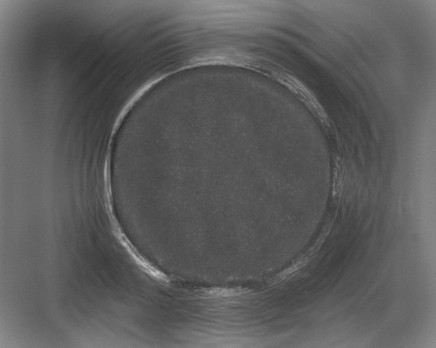 X0000082940796200702152213