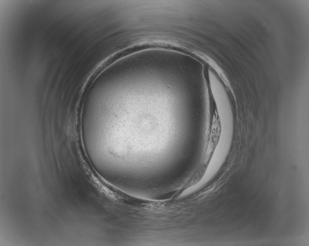 X0000082940799200702152212