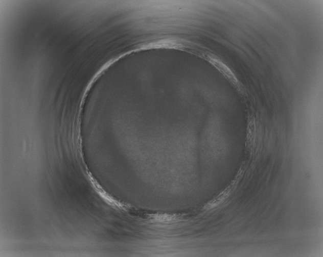 X0000082940800200702152212