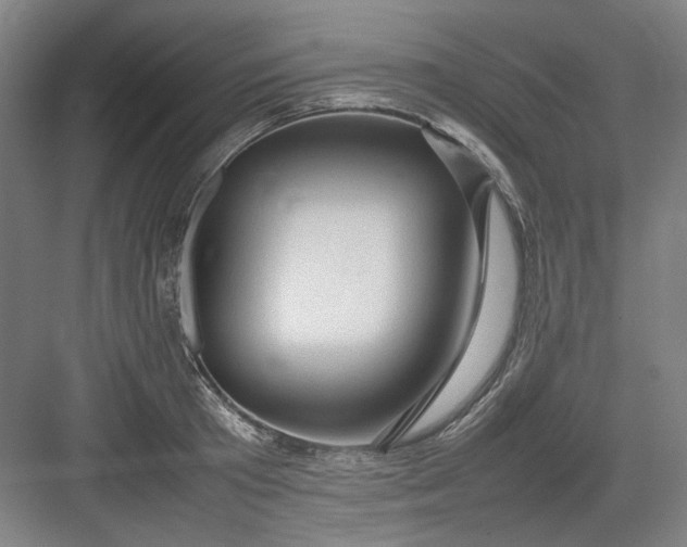 X0000082940801200702152212