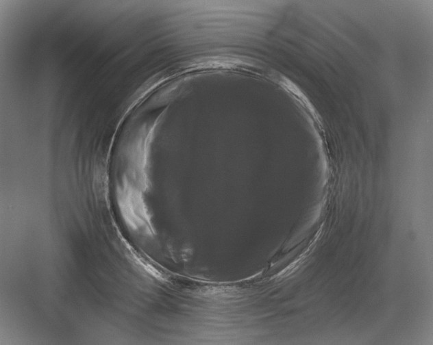 X0000082940802200702152212