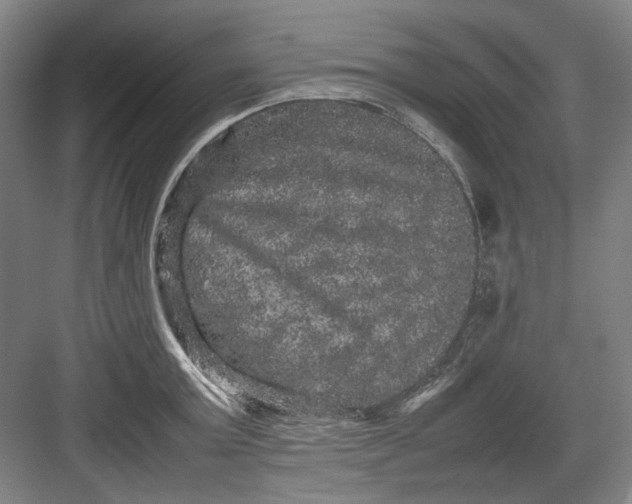 X0000082940803200702152212