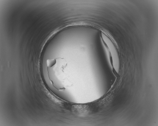 X0000082940805200702152212