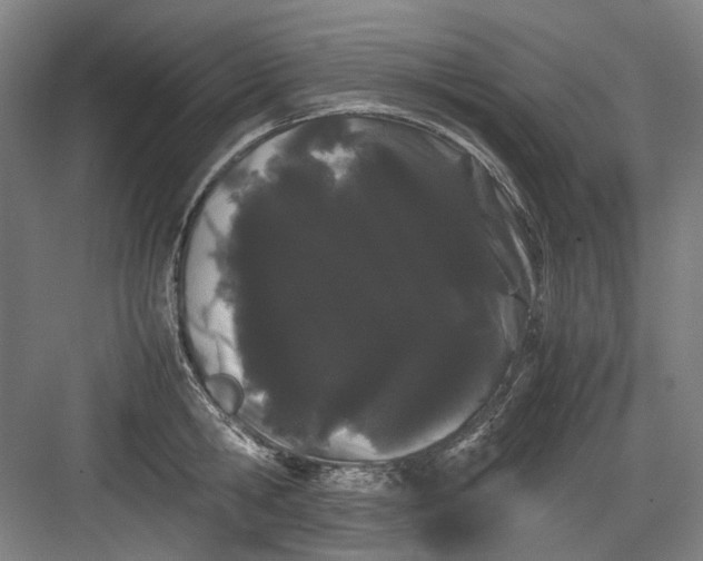 X0000082940806200702152212