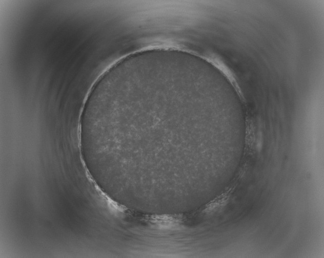 X0000082940807200702152212