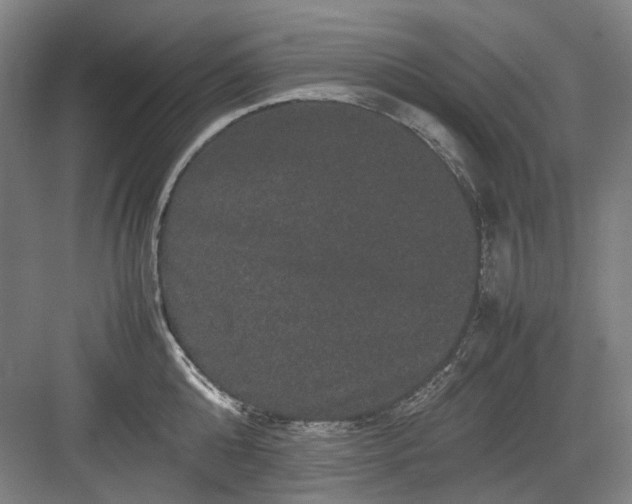 X0000082940808200702152212