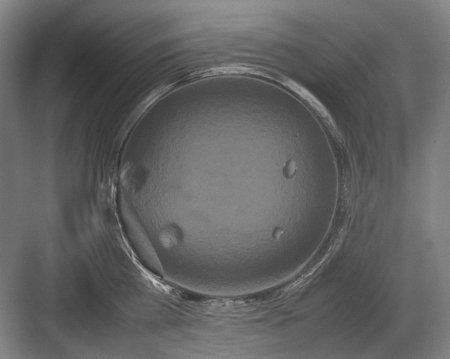 X0000082940809200702152212