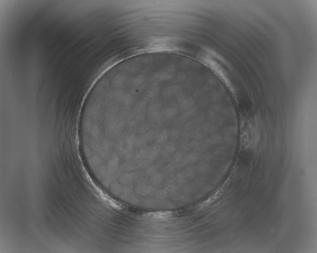 X0000082940810200702152212