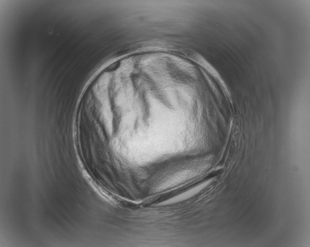 X0000082940811200702152212