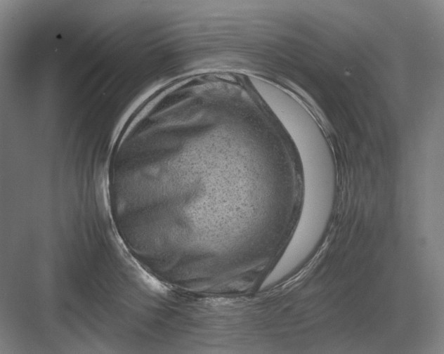 X0000082940812200702152212