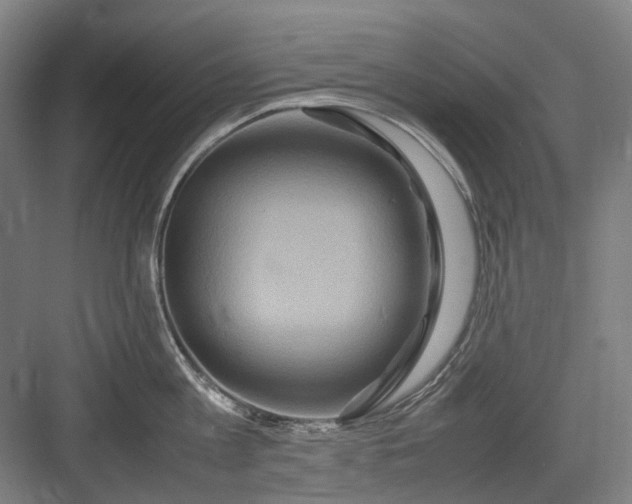 X0000082940813200702152212