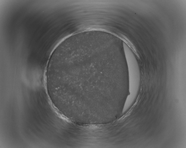 X0000082940814200702152212