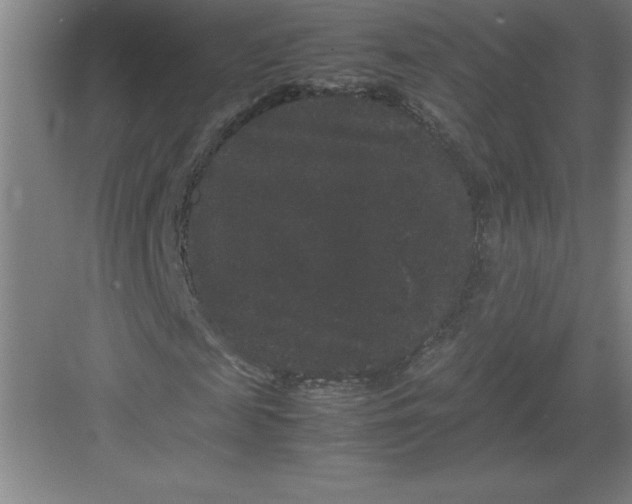 X0000082940817200702152211