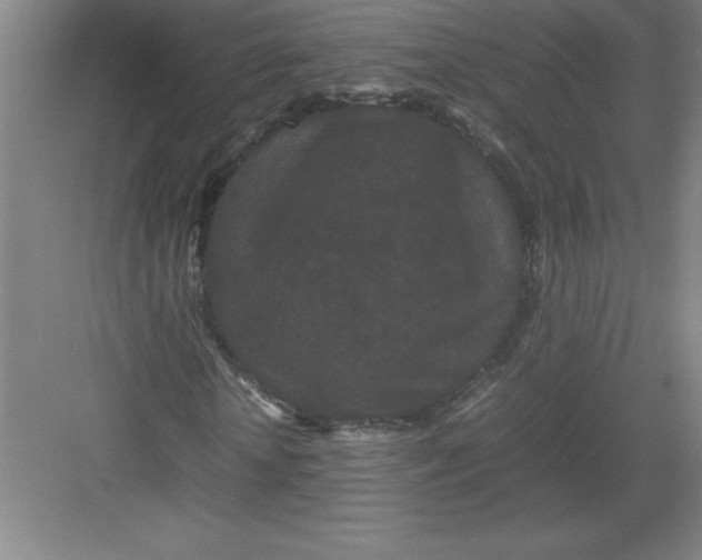 X0000082940818200702152211