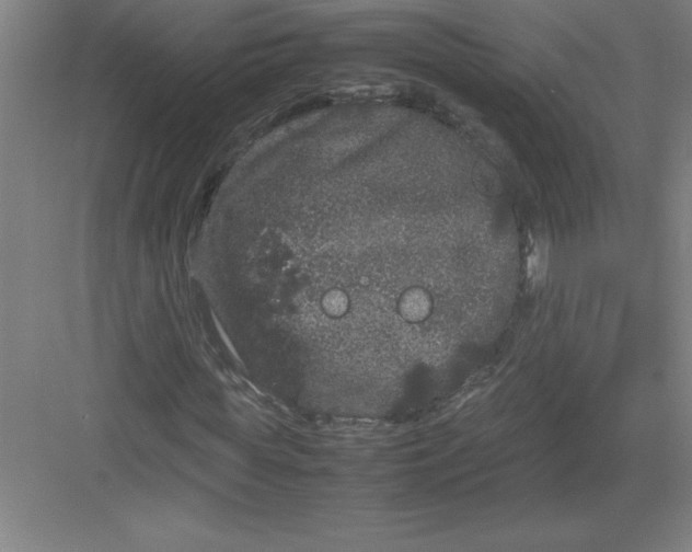 X0000082940819200702152211