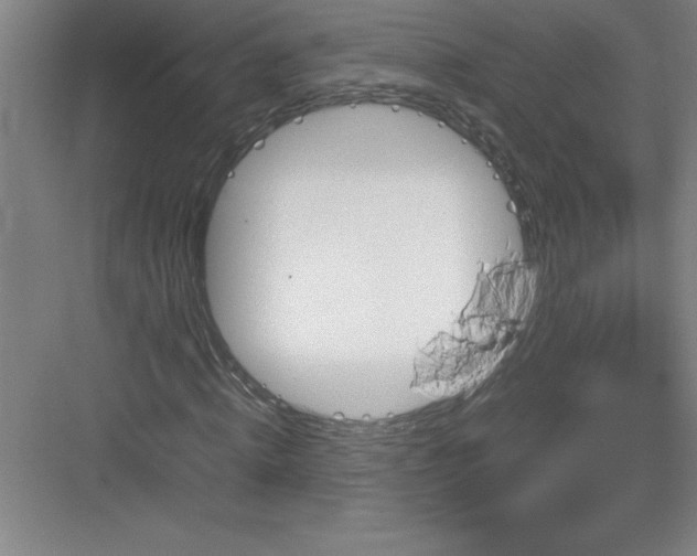 X0000082940820200702152211