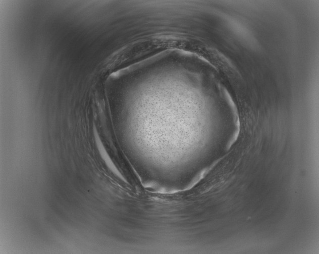 X0000082940821200702152211