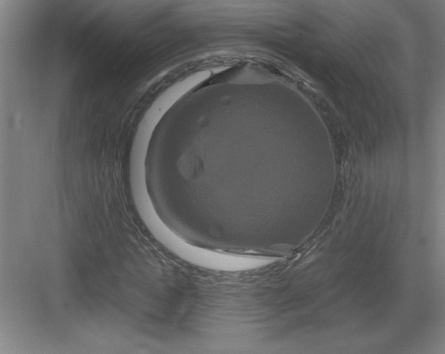 X0000082940822200702152211