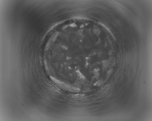 X0000082940823200702152211