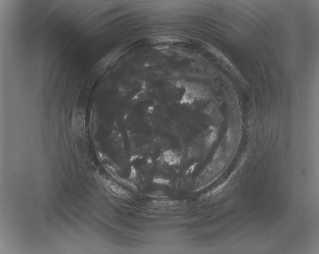 X0000082940825200702152211